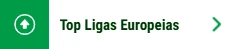 Top European Leagues